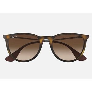 Erika Classic Ray Bans